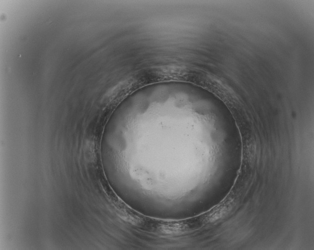 X0000067000757200603311614