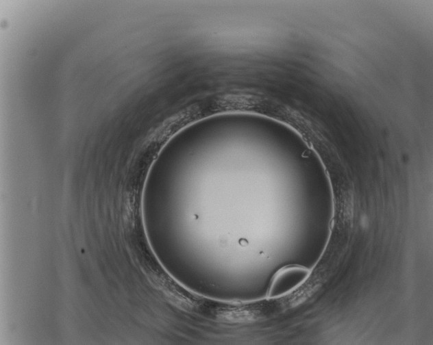 X0000067000759200603311614