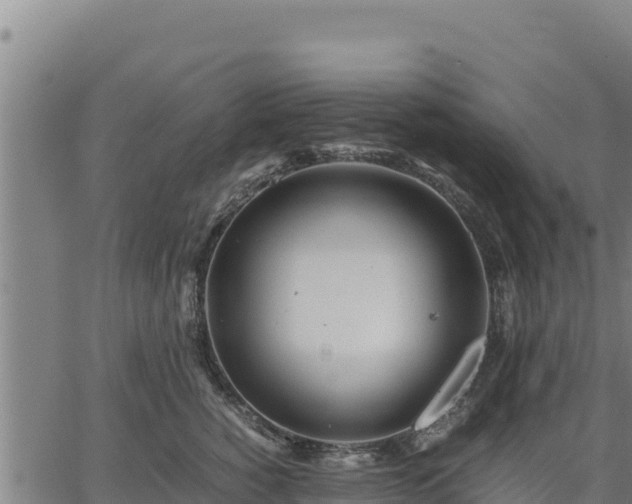 X0000067000760200603311614