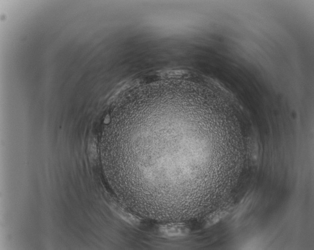 X0000067000761200603311614