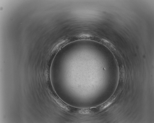 X0000067000762200603311614