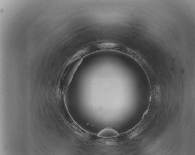 X0000067000763200603311614