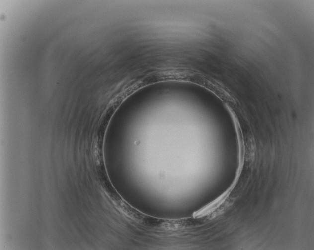 X0000067000764200603311614