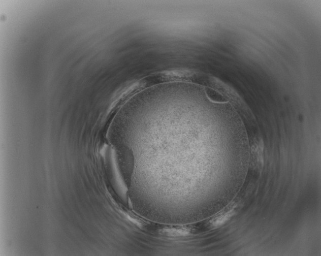 X0000067000765200603311614