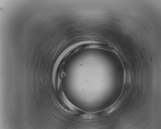 X0000067000766200603311614