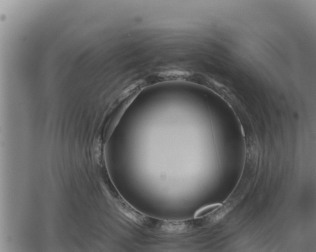 X0000067000767200603311614