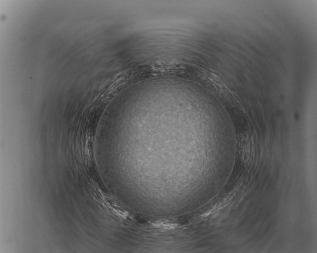 X0000067000770200603311613