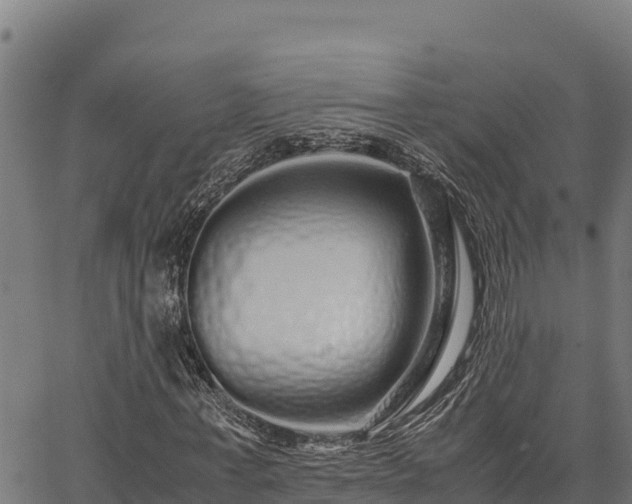 X0000067000771200603311613