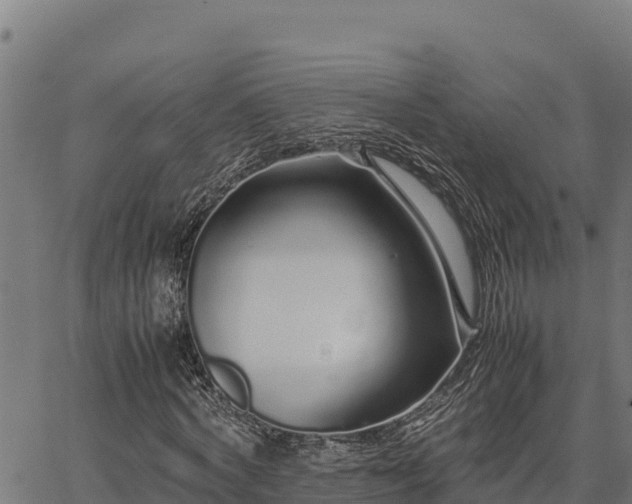 X0000067000772200603311613