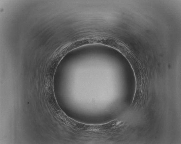 X0000067000773200603311613