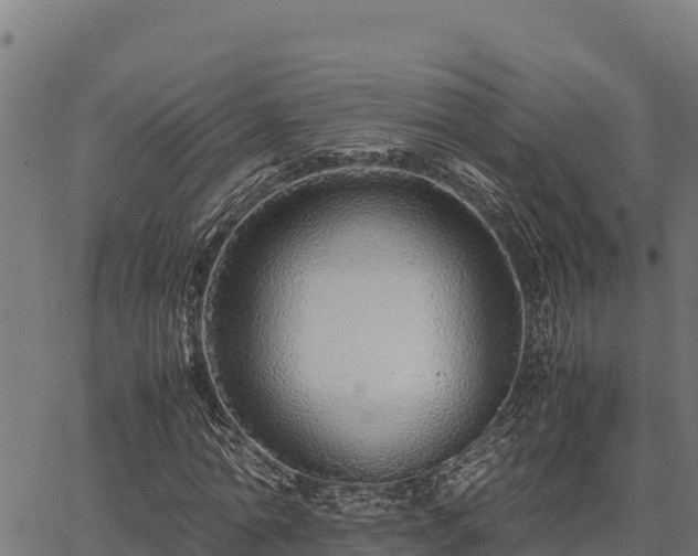 X0000067000774200603311613