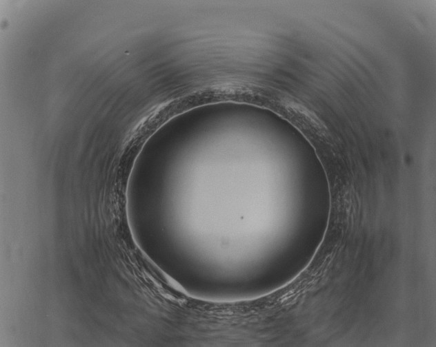 X0000067000776200603311613