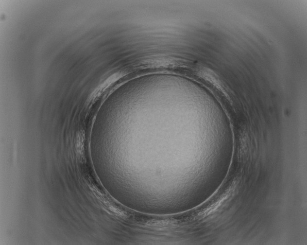 X0000067000778200603311613