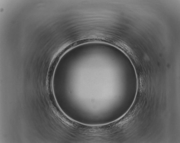 X0000067000780200603311613