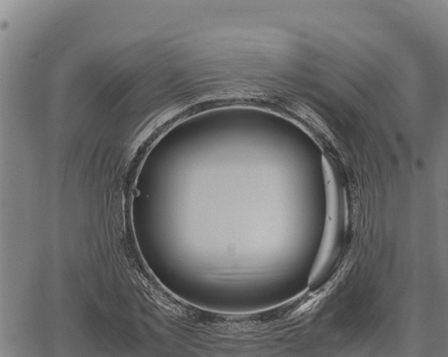 X0000067000781200603311613