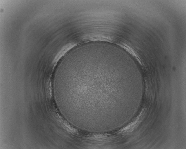 X0000067000782200603311613