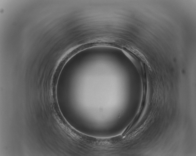 X0000067000784200603311613