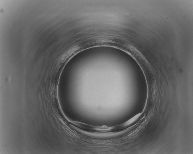 X0000067000785200603311613