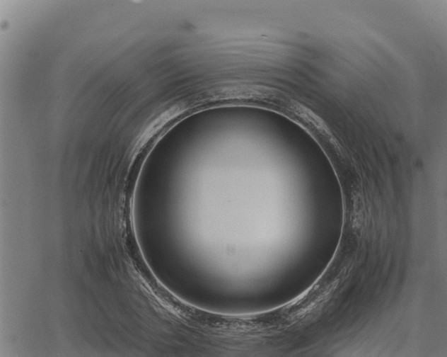 X0000067000786200603311613