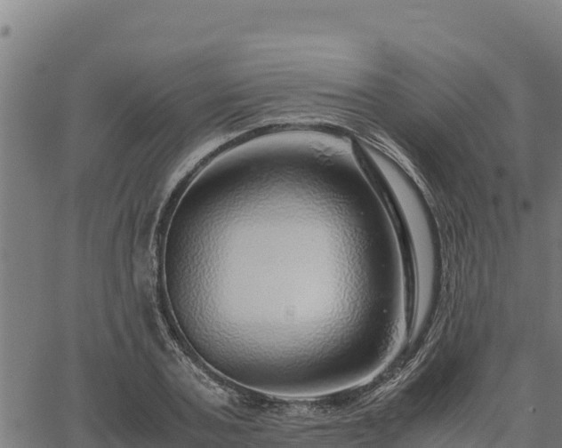 X0000067000787200603311613