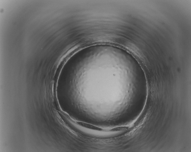 X0000067000790200603311613