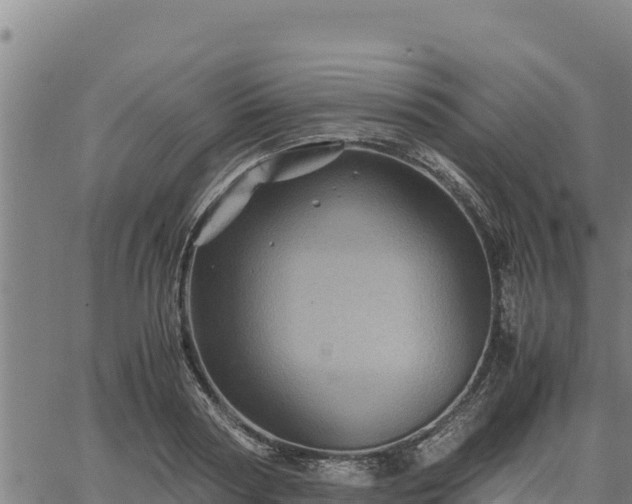 X0000067000794200603311613