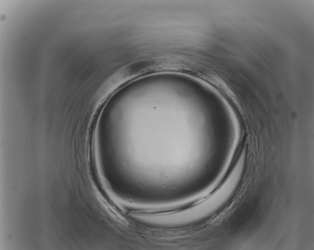 X0000067000795200603311613