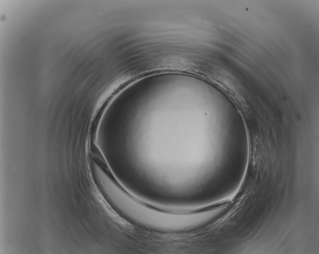 X0000067000796200603311613