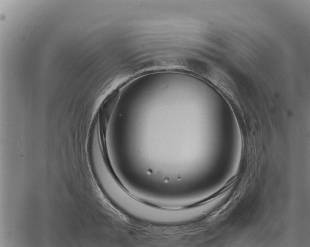 X0000067000797200603311613