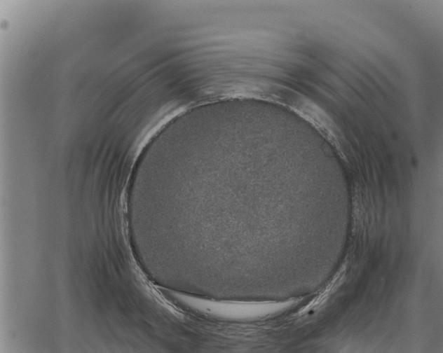 X0000067000798200603311613