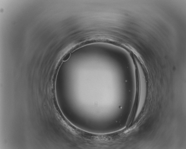 X0000067000799200603311613