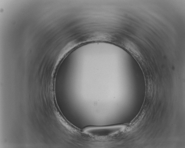 X0000067000800200603311613