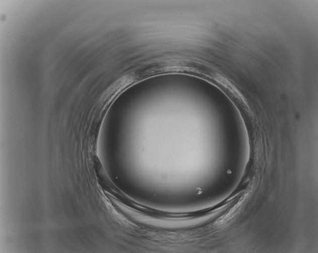 X0000067000801200603311613