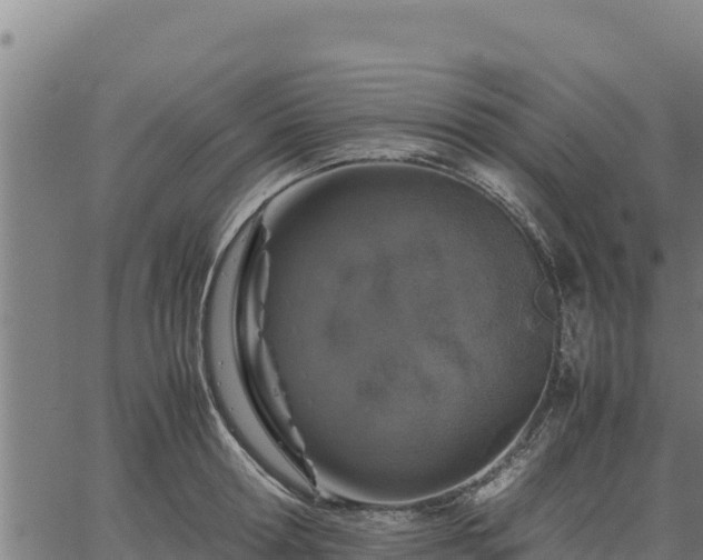 X0000067000802200603311613