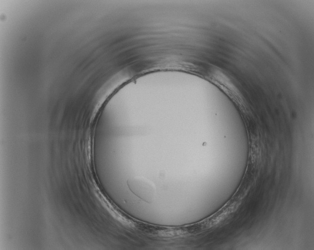 X0000067000804200603311613