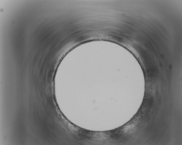 X0000067000807200603311613