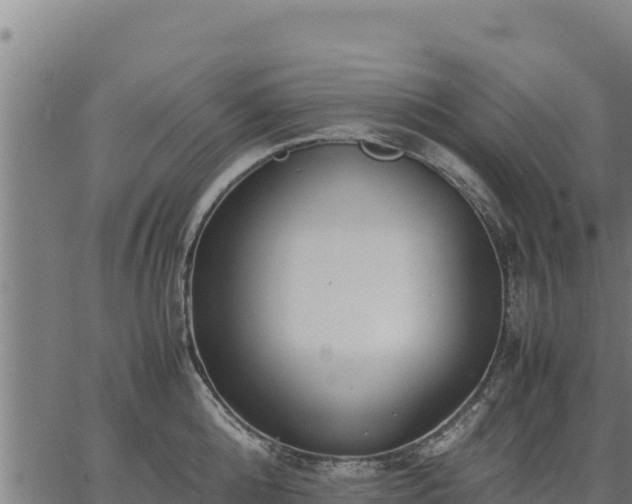 X0000067000808200603311613