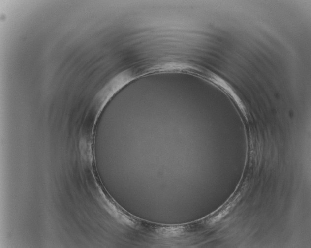 X0000067000810200603311613