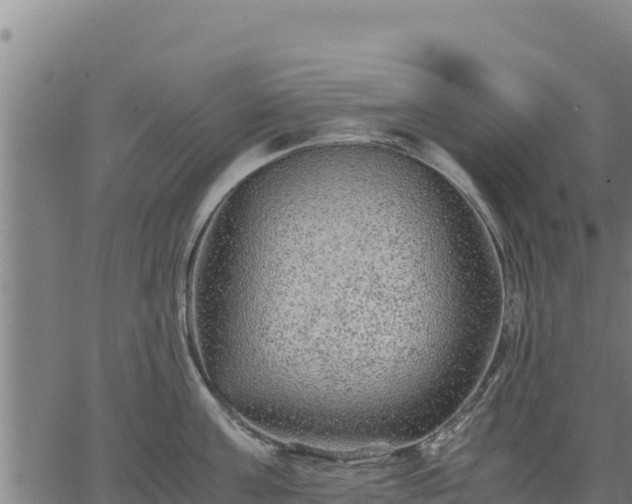 X0000067000811200603311613