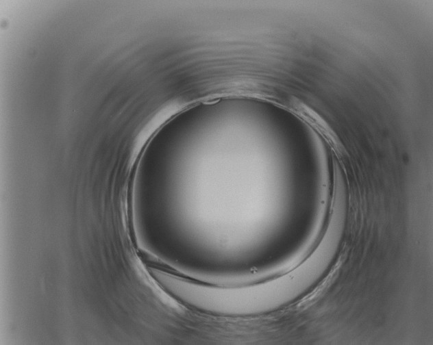 X0000067000812200603311613