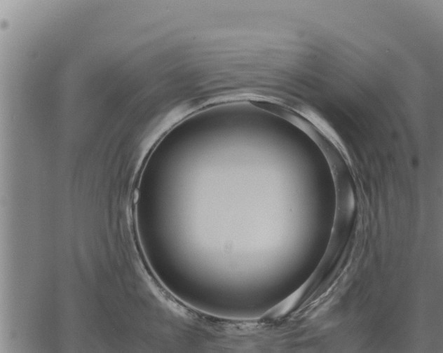 X0000067000813200603311613