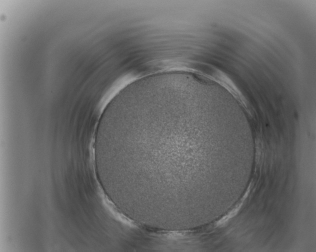 X0000067000814200603311613