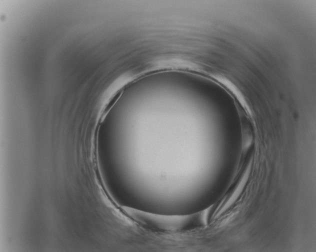 X0000067000815200603311613