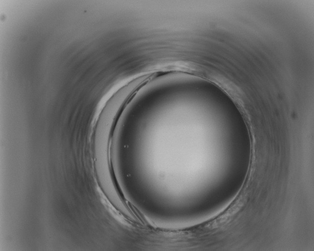 X0000067000816200603311613