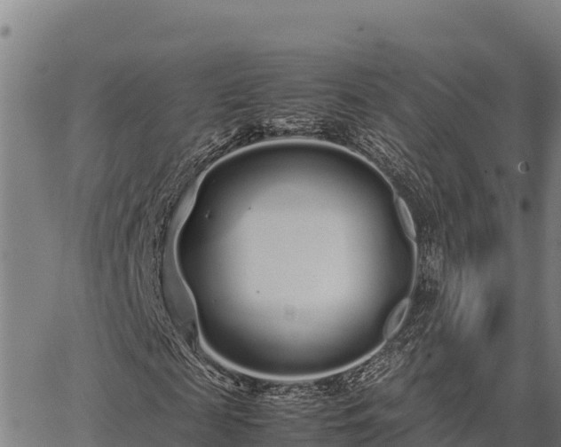 X0000067000817200603311612