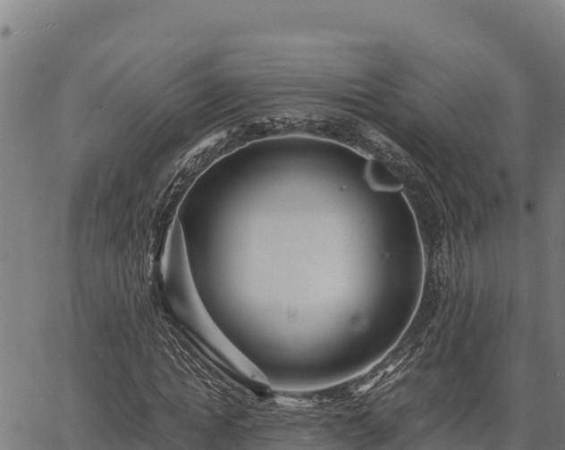 X0000067000822200603311612