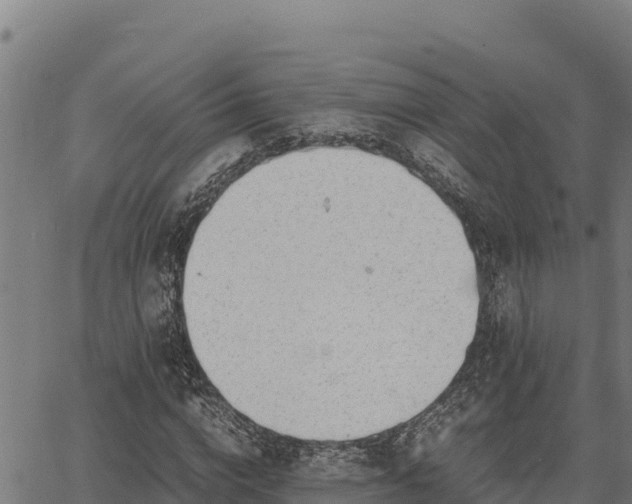 X0000067000824200603311612