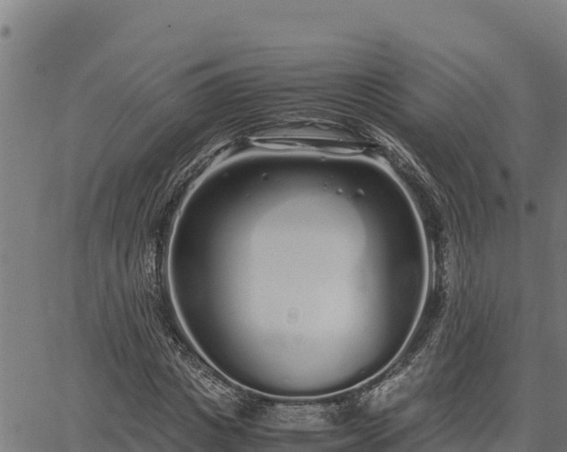 X0000067000825200603311612