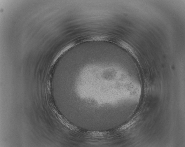 X0000067000827200603311612