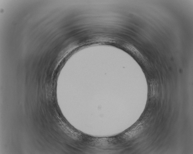 X0000067000828200603311612